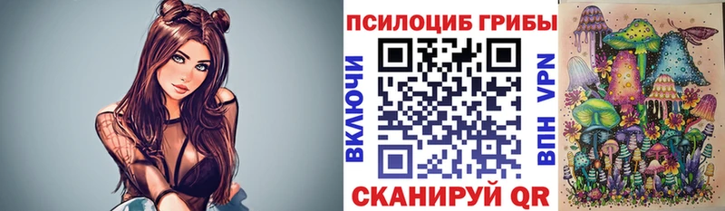 Псилоцибиновые грибы мухоморы KRAKEN зеркало Петропавловск-Камчатский купить закладку